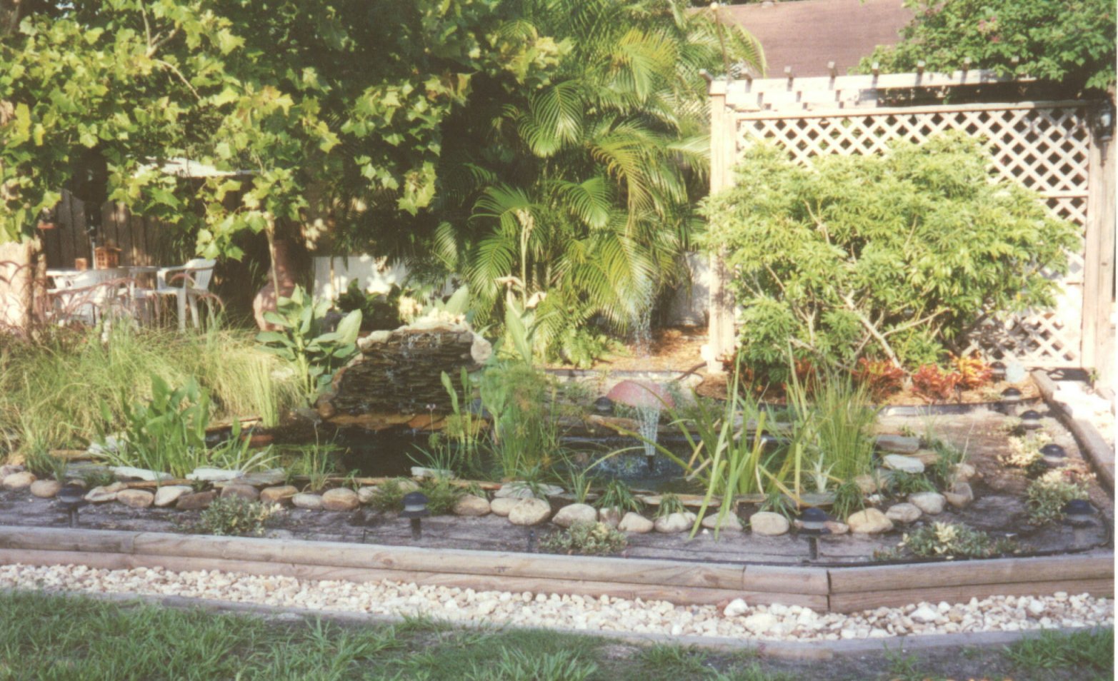 The pond in the summer of 2000.
