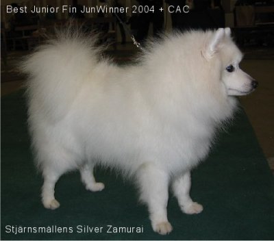 Stj�rnsm�llens Silver Zamurai
