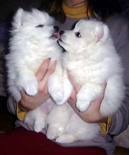 Puss p� dig!