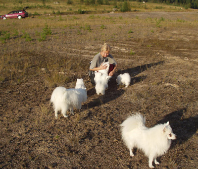 Vi fick �ka med mattes bil p� utflykt, det fanns j�ttemycket plats att springa runt och busa p�!