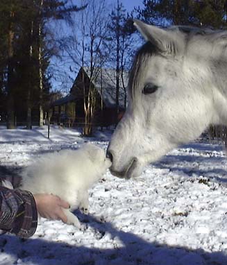 Och vad �r du f�r sort?