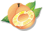fruit