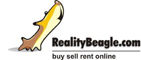 realitybeagle