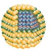 Neurônios