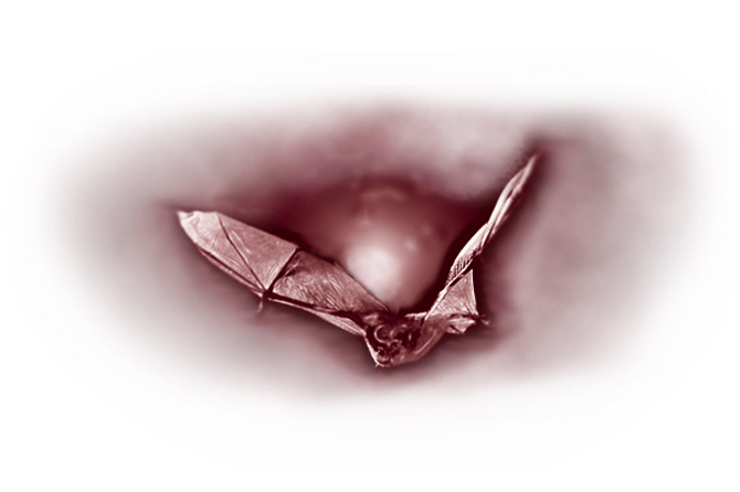 vampiro d&aacute;ndose el piro