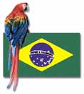 brasil