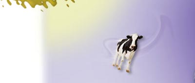 las vacas vuelan