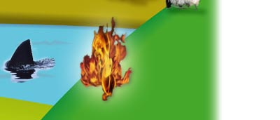 bestia peluda, fuego, dientes