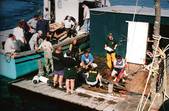 Collecting Data