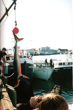 big one