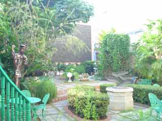 Yard