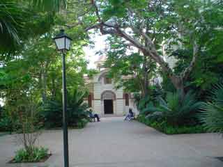 Yard