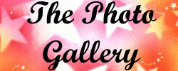 *The Photo Gallery*