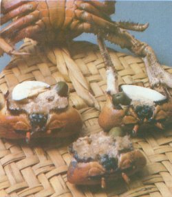 Carapacho Relleno