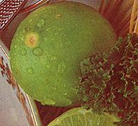 Limon Sutil