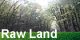 Raw Land