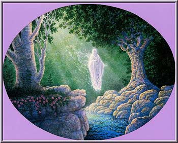 Spirit of de Wood by William Gilbert