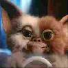Gizmo