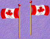 Canadian Flags