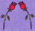 long stem roses