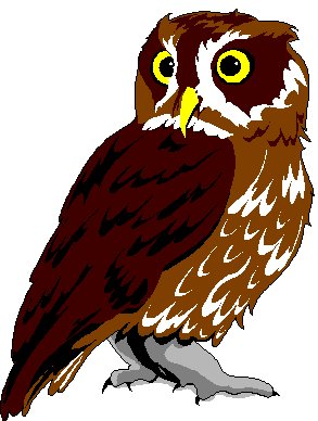 owl