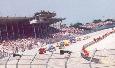 Getting Ready To Go Green