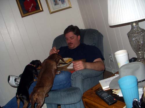 Dogs eating my food