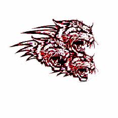 MAINE TOMCATS
