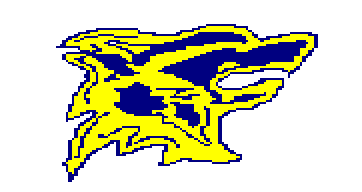 WESTERN MASS WOLVERINES