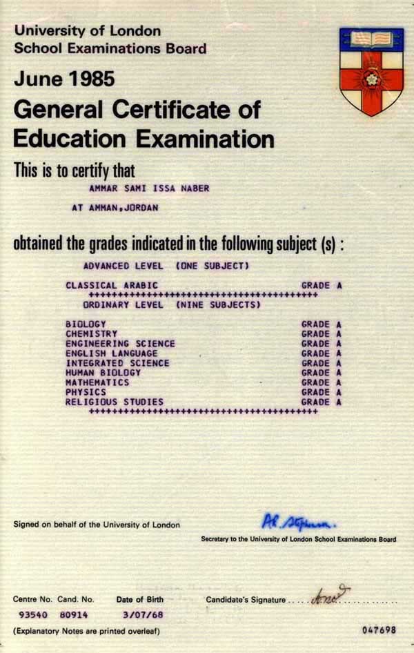 Ammar Naber c.v, Architect Engineer