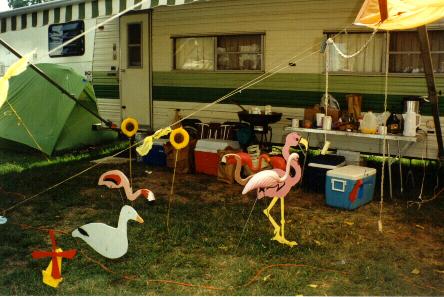 Flamingos