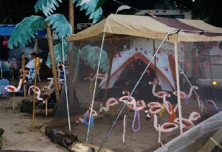 Caged flamingos