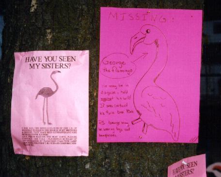 Posters