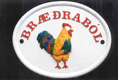 braedrabol4.jpg (10982 bytes)