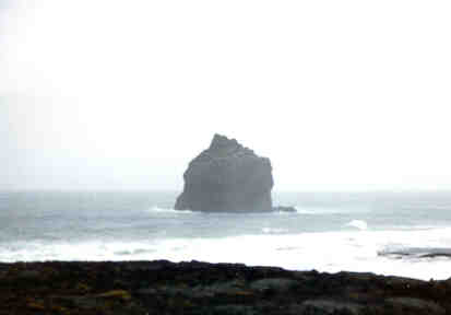 reykjanes1.jpg (6133 bytes)
