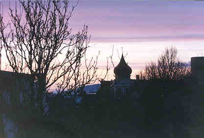 reykjavikturkey.jpg (12914 bytes)