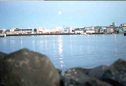 reykjavikurnott.jpg (9042 bytes)
