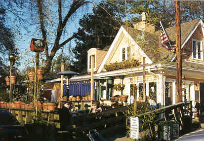 treehouse.jpg (22630 bytes)