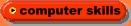 computer skills