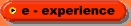 e - experience