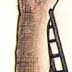 3-David Johny-Bel�ika-Belgium(K).jpg (7156 bytes)