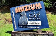 Description: C:\Users\uSER\Pictures\proton&produa\cat museum.jpg