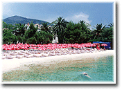 The beach ...