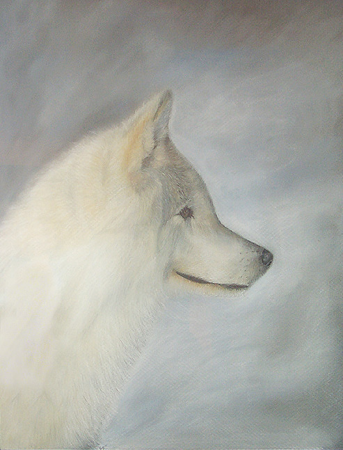 [october 2oo2] i'm proud of this one ! this dog [ wolf ? hihi ] looks like dizi's hehe