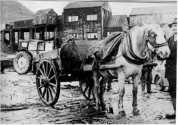 Horse and Cart