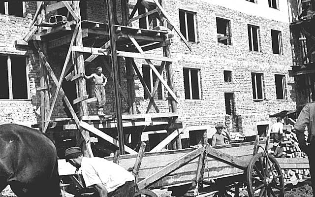 �Rok 1953. Transport konny na budowie