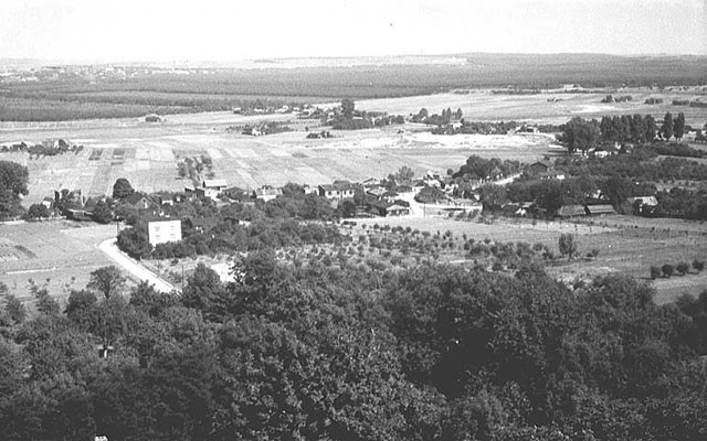 Rok 1953. Skrzy�owanie ulic: Ko�cielnej, Laski i Stara Wie�