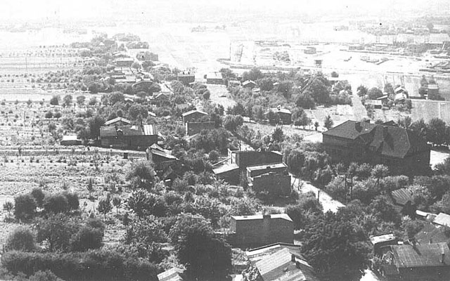 Rok 1953. Ulica Dzia�ki.
