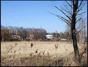 Widok od po�udnia