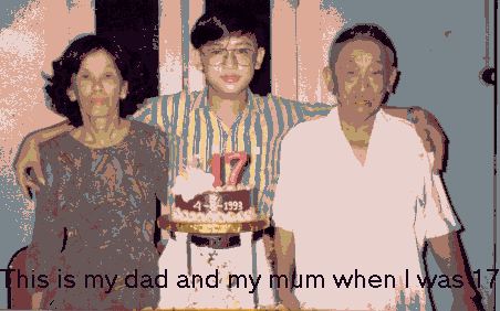 My Parent